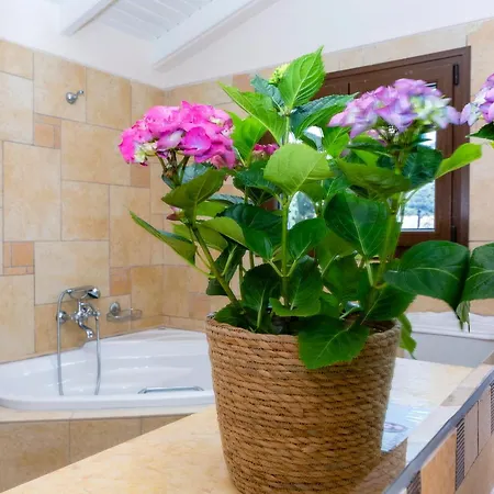 Solaris Methea Deluxe Κασσιόπη